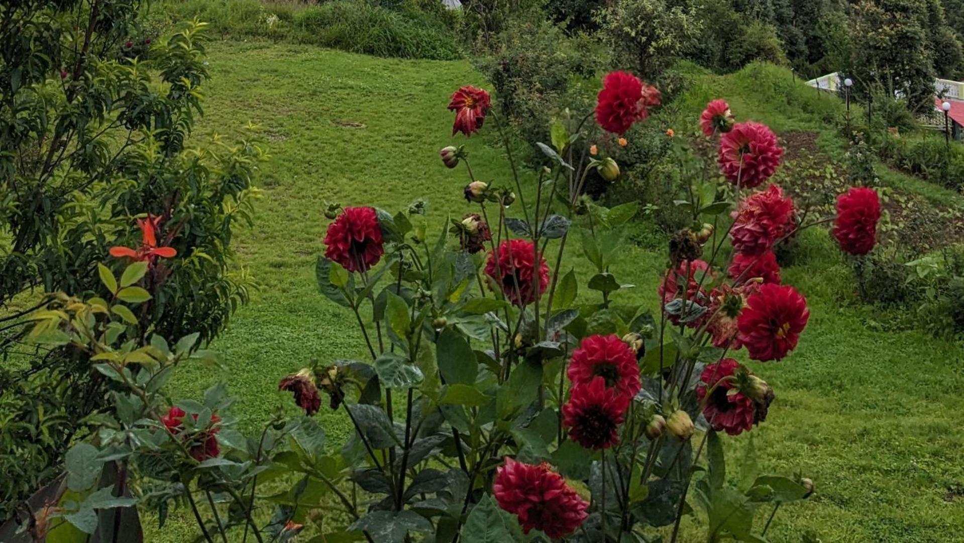 Haut Monde King'S Paradise Resort Kanatal Luaran gambar