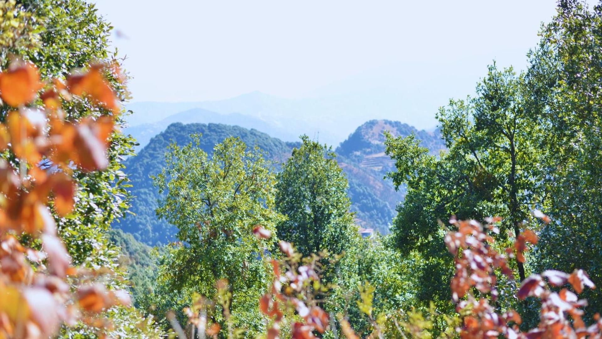 Haut Monde King'S Paradise Resort Kanatal Luaran gambar