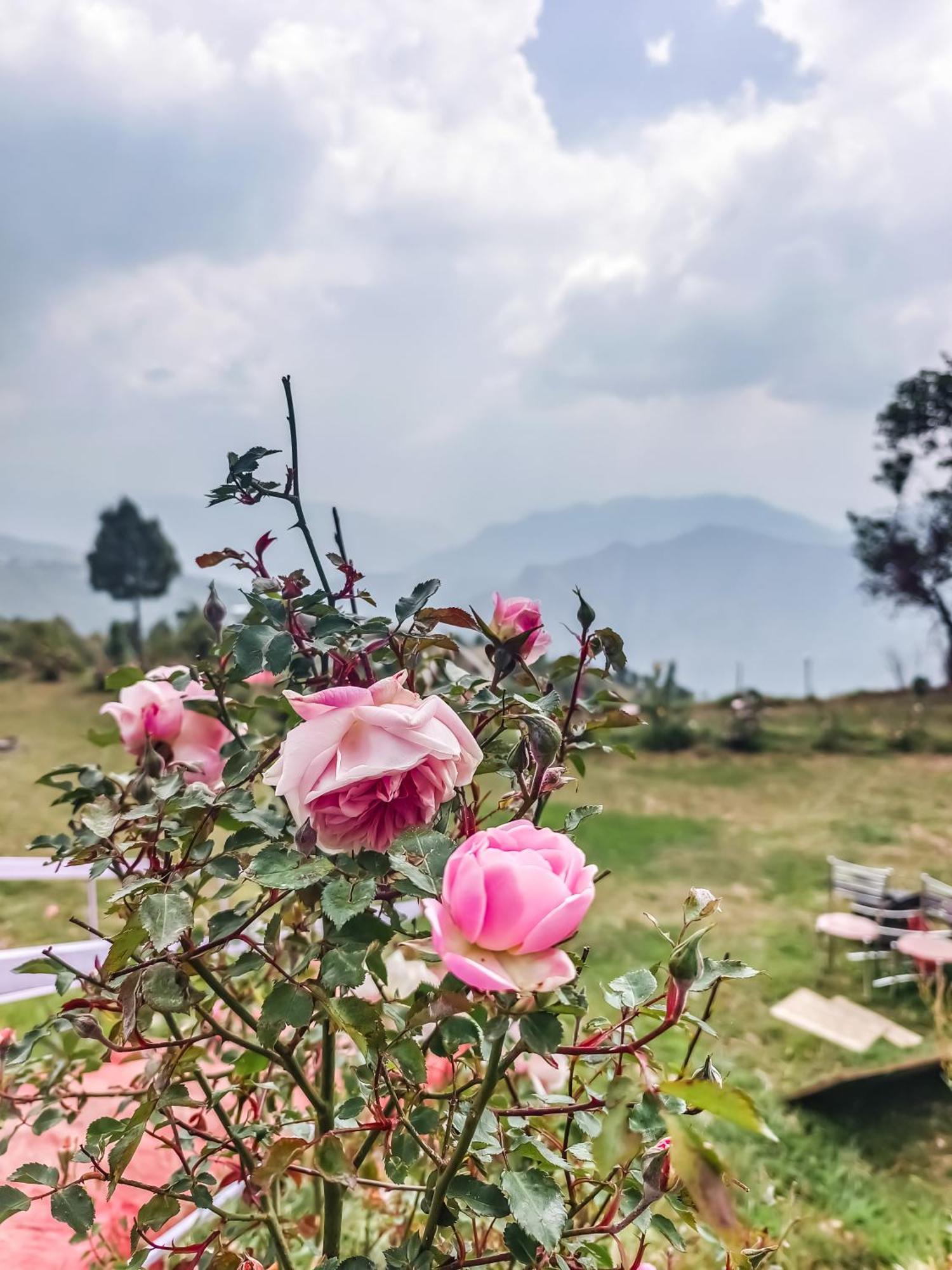 Haut Monde King'S Paradise Resort Kanatal Luaran gambar